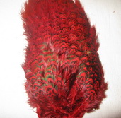 ringneck rump patch red Hareline